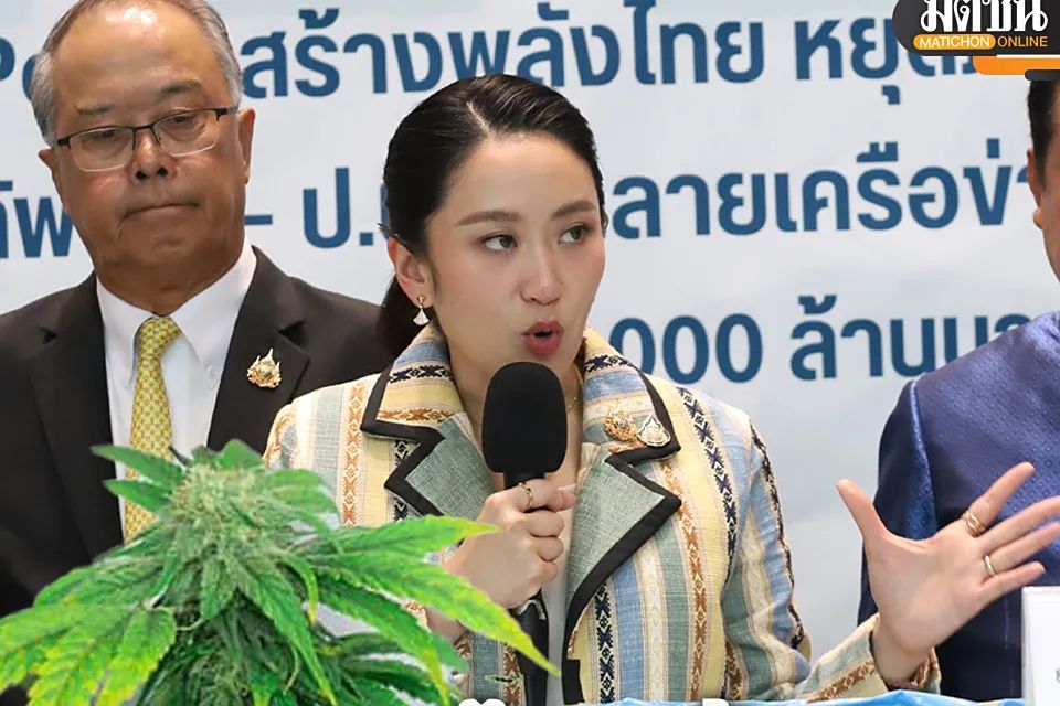 禁大麻：从半合法到重新入罪